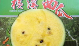 爆料吃瓜背景图片,吃瓜群众背后的真相大揭秘